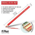 Galart 12-Piece Colorful Charcoal Pencil Set