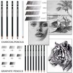 Aenir Charcoal Pencils Set for Drawing, 22 Pieces