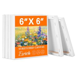 ESRICH 6x6 Inch Stretched Canvas - 6 Pack