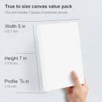 Phoenix 5x7 Inch Stretched Canvas Value Pack