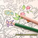 KALOUR Colorless Blender and Burnisher Pencils Set