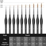 10-Piece Micro Paint Brush Set with Triangular Handles