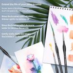 10-Piece Micro Paint Brush Set with Triangular Handles