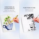 25-Color Water Soluble Pastel Set for Artists