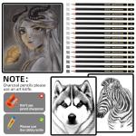 21-Piece Drawing Pencil Set for Artists