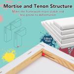 21-Pack Primed Stretched Canvases for Painting