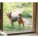 Beginner's Guide to Animal Woodcarving: 5 Projects