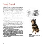 Beginner's Guide to Animal Woodcarving: 5 Projects