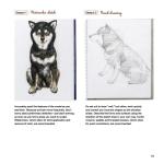 Beginner's Guide to Animal Woodcarving: 5 Projects