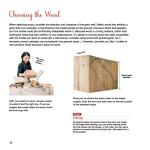 Beginner's Guide to Animal Woodcarving: 5 Projects