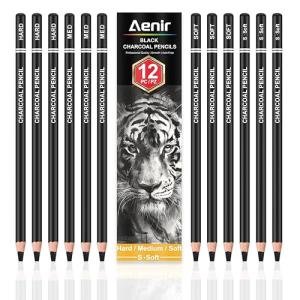 Aenir Charcoal Pencil Set, 12-Piece for Drawing