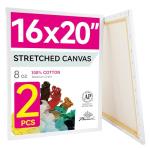 16x20 Inch Pack of 2 Stretched Canvas