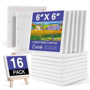 Small 6x6 Inch Stretched Canvas - 16 Pack