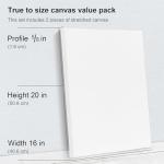 16x20 Inch Pack of 2 Stretched Canvas