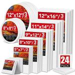 Variety Pack of 24 Painting Canvases