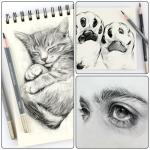 KALOUR Willow Charcoal Pencil Set - 6 Shades