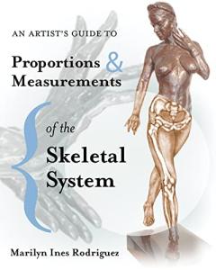 Artist's Guide to Skeletal Proportions & Measurements