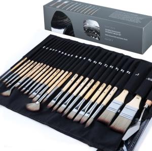 25-Piece Professional Paint Brush Set with Case