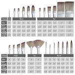 25-Piece Professional Paint Brush Set with Case