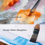 25-Piece Professional Paint Brush Set with Case