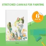 16x20 Inch Stretched Canvas, 6 Pack for Art