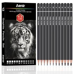 Aenir Set of 12 Sketch Pencils for Artists