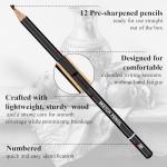 Aenir Set of 12 Sketch Pencils for Artists