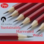 Pepy 12-Pack 4B Graphite Drawing Pencils