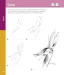 Step-by-Step Guide to Realistic Drawing