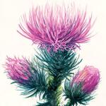 Strathmore Cold Press Watercolor Block, 9"x12