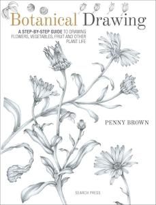 Botanical Drawing Guide for Flowers and Plants
