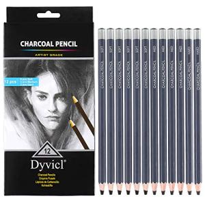 Dyvicl Charcoal Pencils Drawing Set - 12 Pieces