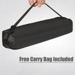 Portable Adjustable Aluminum Easel with Bag