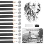 14-Pack Sketching Pencils Set for Artists