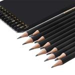 Professional 12-Piece Drawing Pencil Set