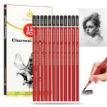 Charcoal Pencils Drawing Set - 12 Pieces