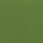 Holbein 15ml Gouache - Moss Green