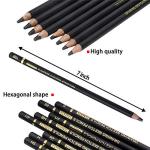Professional 12-Piece Drawing Pencil Set