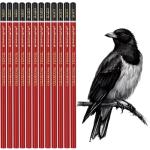 Charcoal Pencils Drawing Set - 12 Pieces