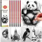 Daerthotk Charcoal Pencils Set for Drawing
