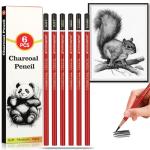 Daerthotk Charcoal Pencils Set for Drawing