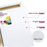 PHOENIX 12x16 Inch Stretched Canvas Pack