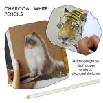 Brusarth White Charcoal Pencils Set - 3 Pieces