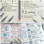 Taotree 24 Color Fineliner Pens for Art & Journaling