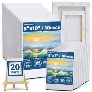 Halobios 20-Pack Stretched Blank Canvas Set
