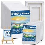 Halobios 20-Pack Stretched Blank Canvas Set