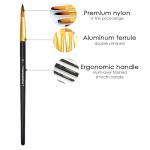 Transon 12-Piece Assorted Art Brush Set