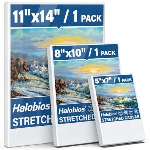 Halobios Stretched Canvas Set for Artists