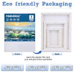 Halobios Stretched Canvas Set for Artists