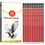 Charcoal Pencil Set for Drawing and Sketching